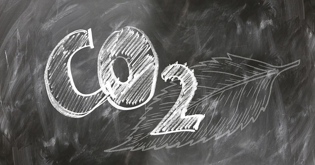 CO2 Setup & Diffusers vs Alternatives : My Honest Hands-On Comparison