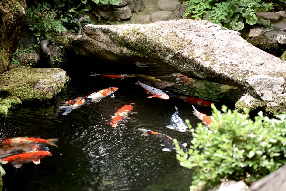 Common Myths About Hardscape & Stone Composition I Stopped Believing