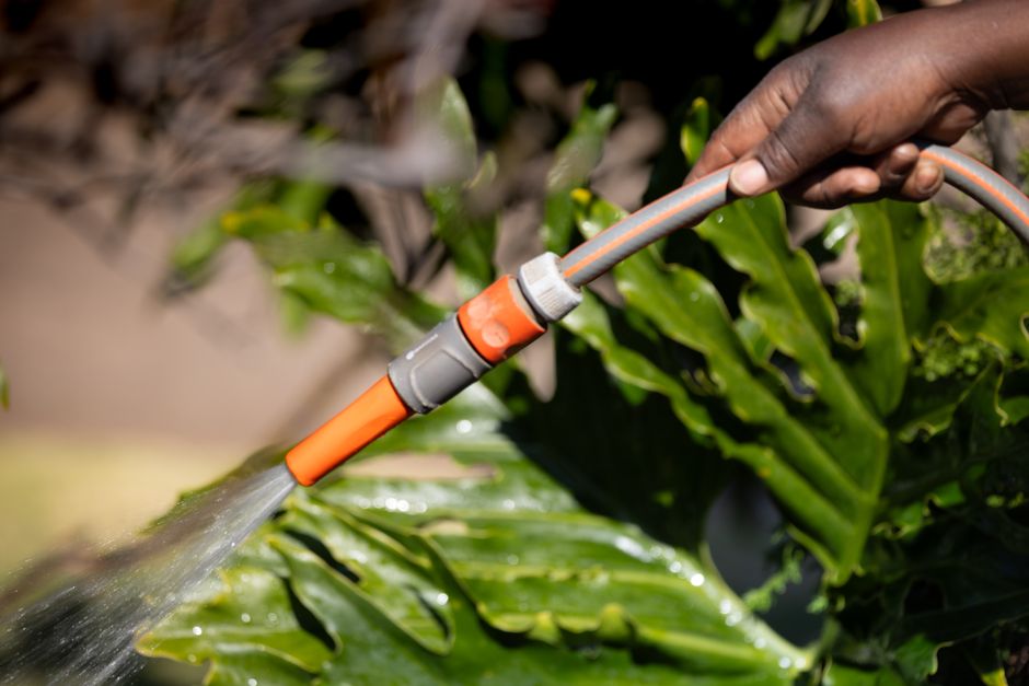 How Much Does Algae Defense & Water Chemistry Really Cost in 2026? Budget & Gear